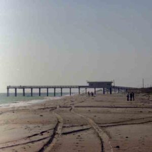 Camp Lejeune: There’s Something in the Water Image
